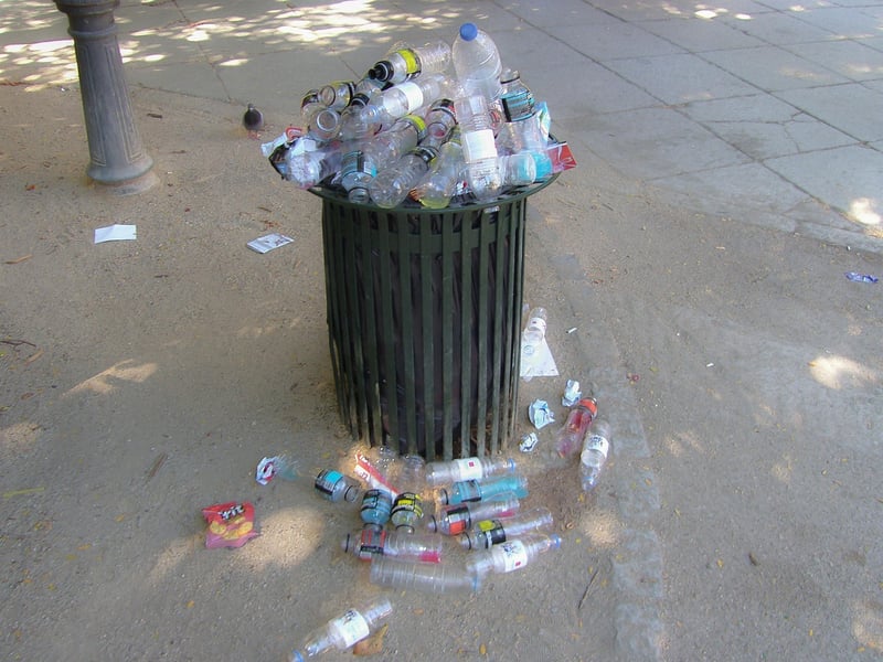 Sustainable Fashion